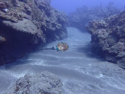 Image 20