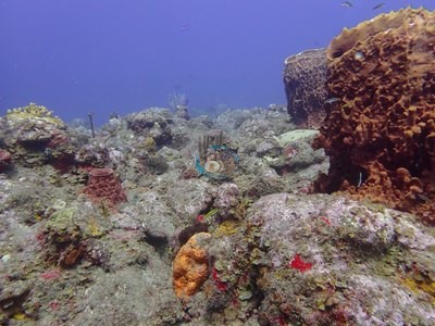 Image 49