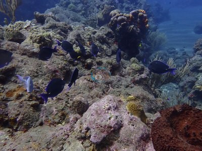 Image 9