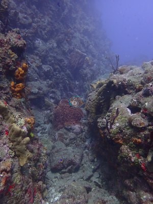 Image 16