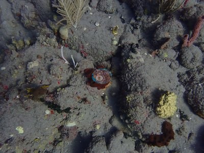 Image 10