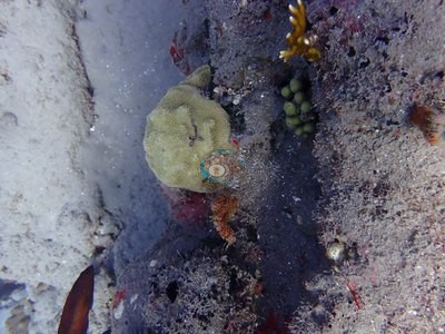 Image 14