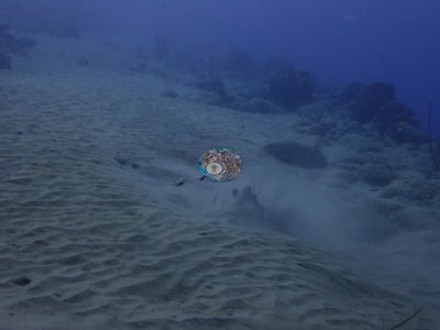 Image 18