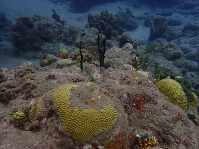 Image 12