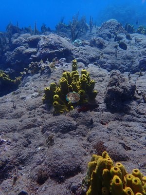 Image 18