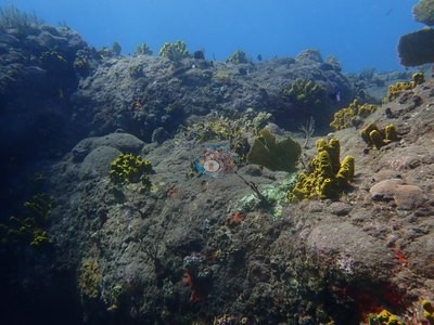 Image 9