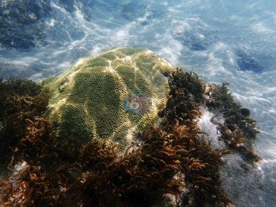 Image 18