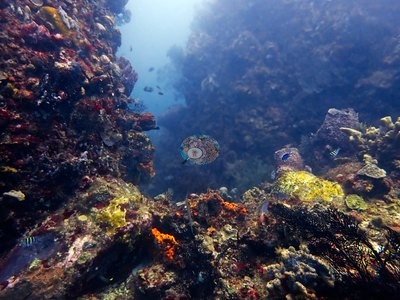 Image 9