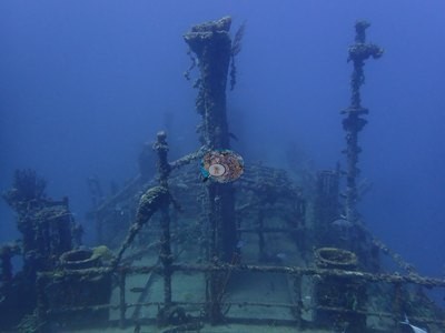 Image 12