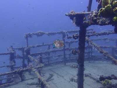 Image 13
