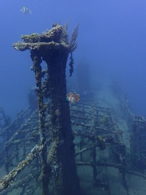 Image 18