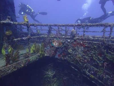 Image 2