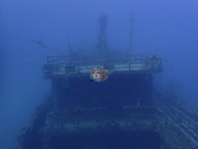 Image 21