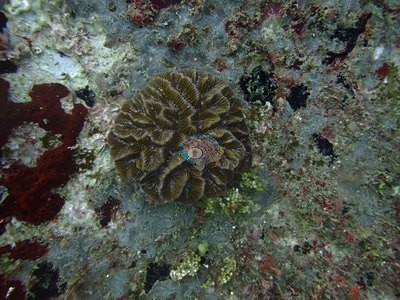 Image 22