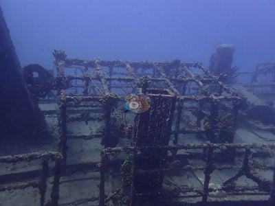 Image 33