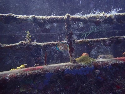 Image 38
