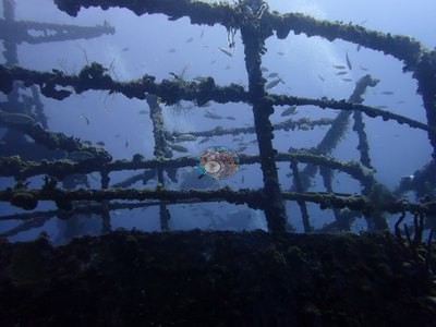 Image 6