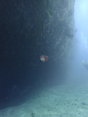 Image 9