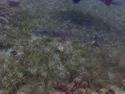 Image 8