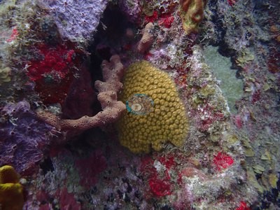 Image 11