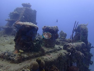 Image 7