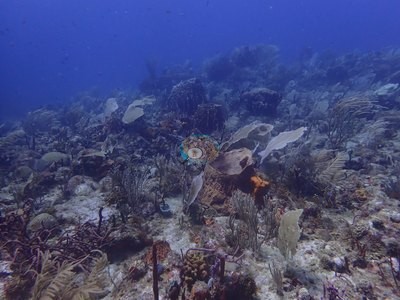 Image 10