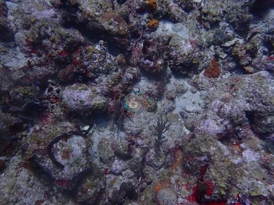 Image 12