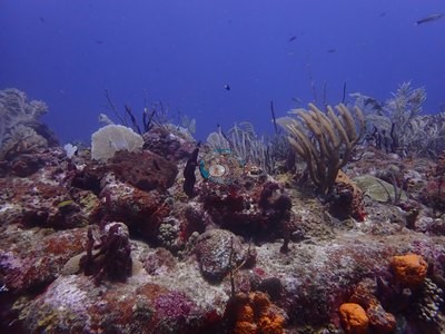 Image 14