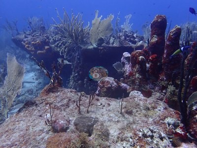 Image 22