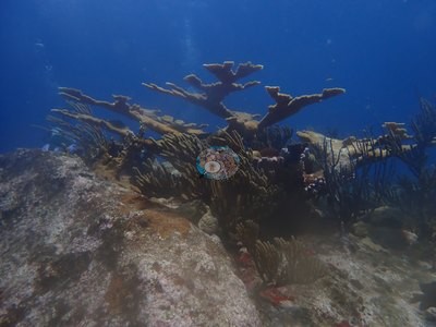 Image 21