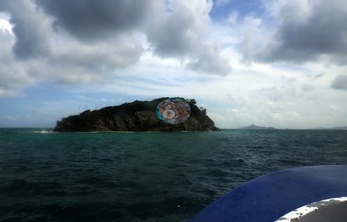Image 5