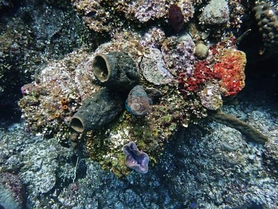Image 9