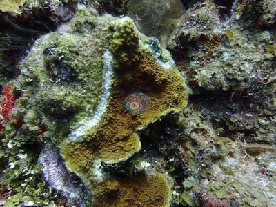 Image 12