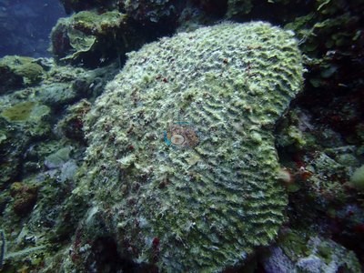 Image 13