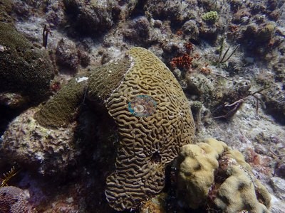 Image 6