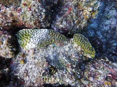 Image 8