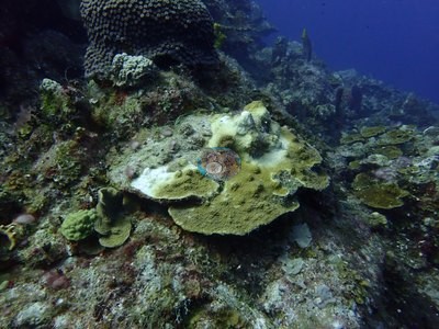 Image 10