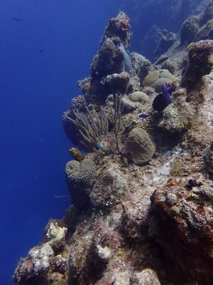 Image 21
