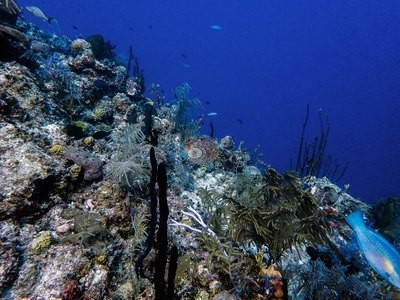 Image 12