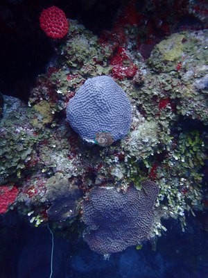Image 14