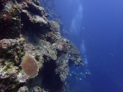 Image 30