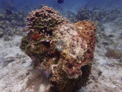 Image 47