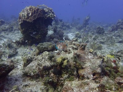 Image 54