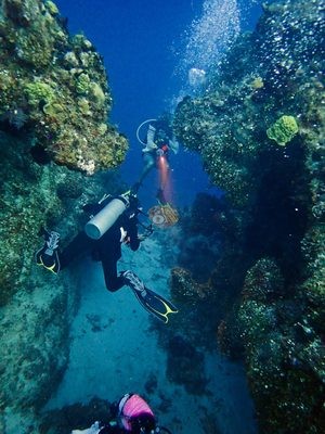 Image 12