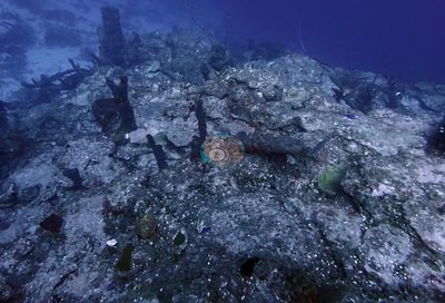 Image 10