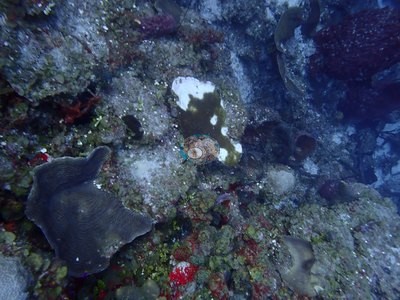 Image 10