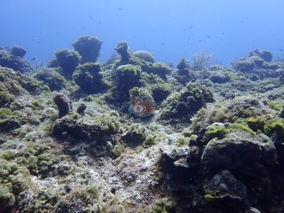 Image 13