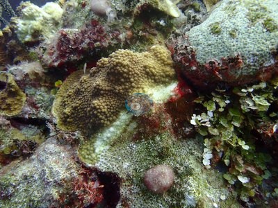 Image 23