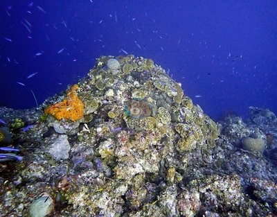 Image 34