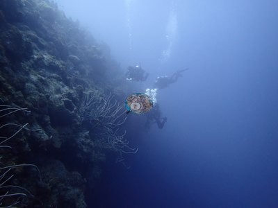 Image 49